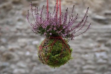 Celebra San Valentín al estilo 'japo' con C’UP 