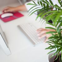 Fin de la pandemia y también, ¿fin del teletrabajo?