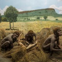 Não era só carne: dieta dos humanos caçadores de 8 mil anos atrás consistia em guisados meticulosos com peixes e vegetais, mostra estudo 