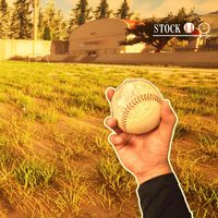 Un juego de béisbol japonés va a añadir checo como idioma solo porque un jugador de República Checa lo desea en Steam 