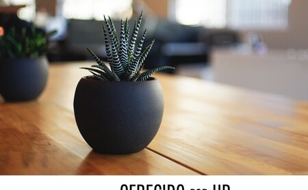 Sostenibilidad y digitalización: se acerca una nueva era  