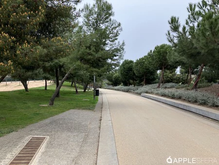 カリマの2日後、曇りのリネアル・デル・マンサナレス公園でiPhone SE 2022で撮った写真。