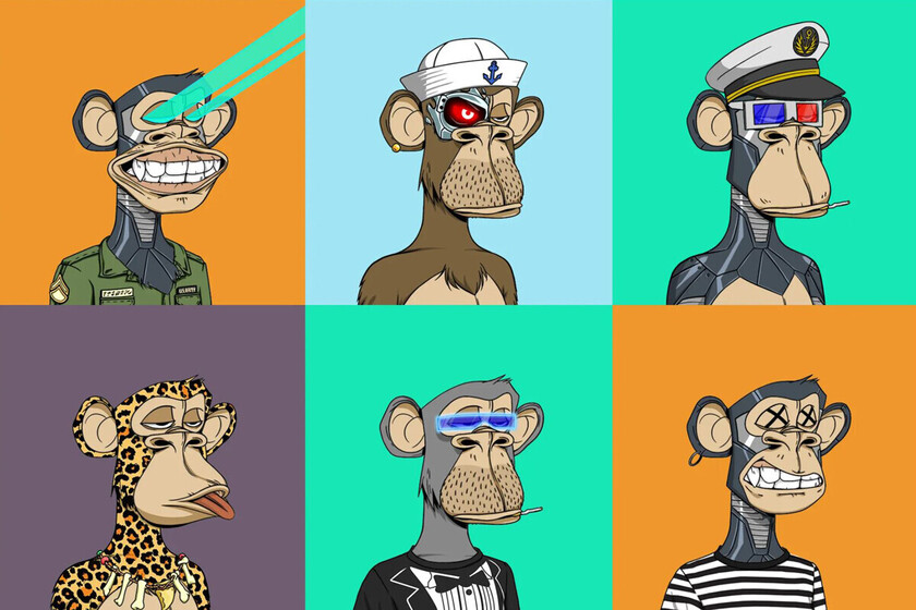 Qué fue de Bored Ape Yacht Club, el proyecto estrella de los NFT que hace apenas un año causaba furor thumbnail