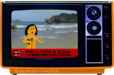 fauna en ruta: medios de comunicación y seguridad vial