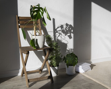 Hermosas Y Modernas Plantas Deco