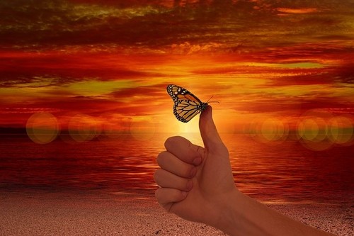 La única capacidad que se necesita para ser un buen jefe, es ser una excelente persona 