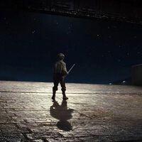 Todos pensamos que el niño del final de 'Los últimos jedi' sería fundamental en el futuro de 'Star Wars'. Su historia acabó explicada en una enciclopedia de la saga