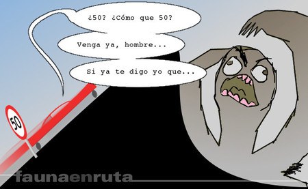 fauna en ruta - imprevistos