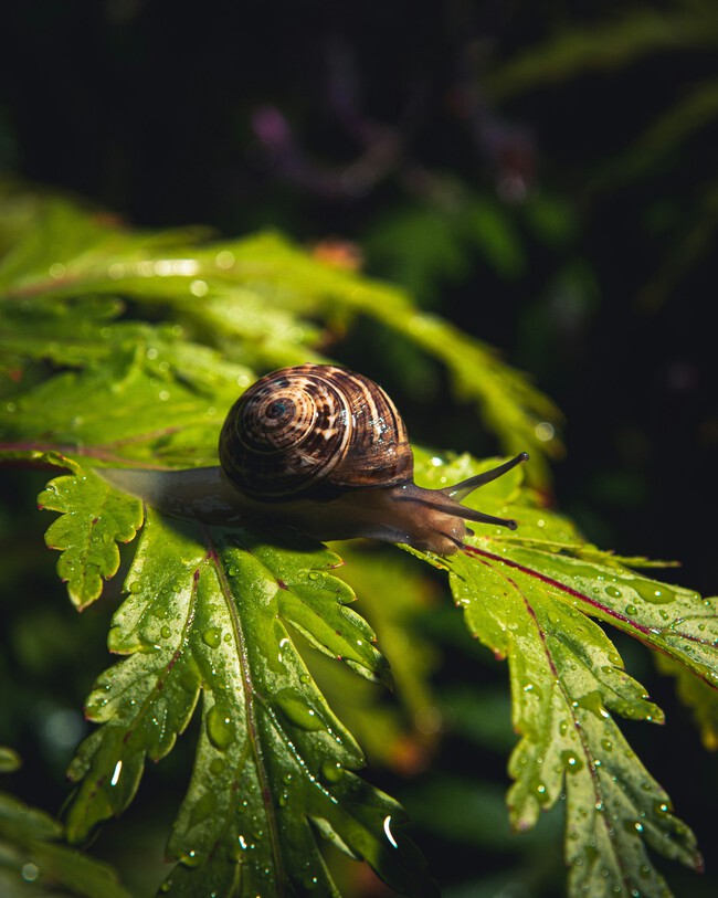 Joao Costa Okhcgwgcenq Unsplash