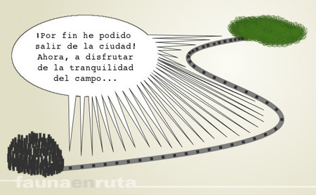 El dominguero mayor se folla a una milf en medio del campo 2