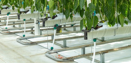 produção de alimentos tecnologica