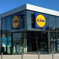 El lunes, 13 de julio, llegan a Lidl las zapatillas tipo Skechers más cómodas y baratas para caminar a diario 