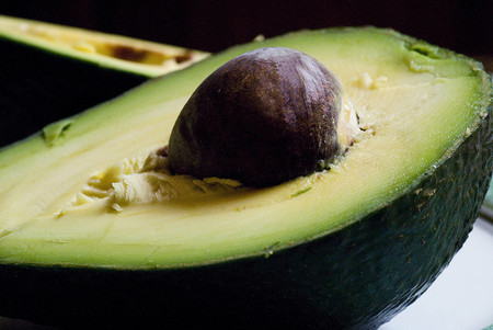 ¿Cómo nuestro cuerpo digiere y metaboliza la grasa?