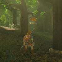 Dónde conseguir Miel de Vigor en Zelda Breath of the Wild 