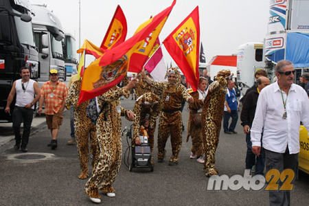 Leones Julián Simón