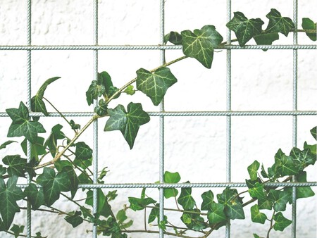 Copia De Plantilla 1200x900 61