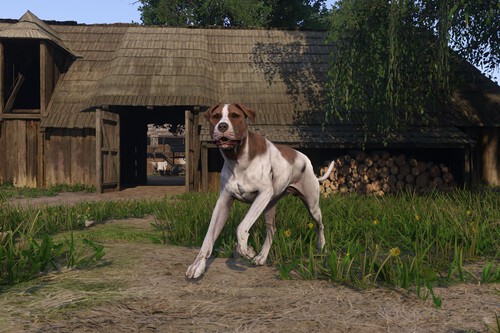 Imagen De Kingdom Come Deliverance 2 55