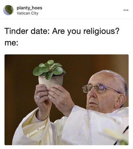 Meme