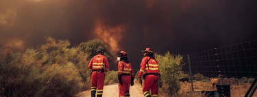 "Es el mayor de la historia de España": Ávila es la prueba de que los grandes incendios forestales han llegado para quedarse