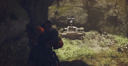 Eliminacion Semilla 2