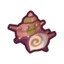 Spiny Conch