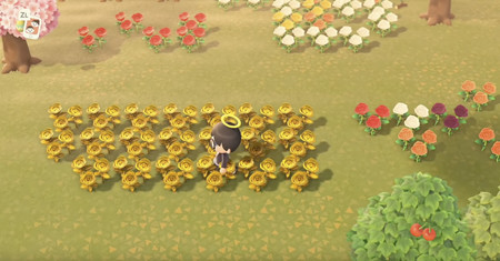 Guía Animal Crossing New Horizons: cómo conseguir rosas doradas