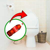 La ciencia confirma este truco del inodoro: esta es la manera correcta de hacerlo 