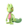 Treecko