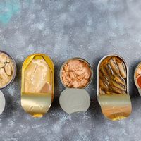 Abrieron una lata de salmón que caducó hace 50 años y descubrieron algo increíble: "es señal de que el pescado viene de un ecosistema saludable" 