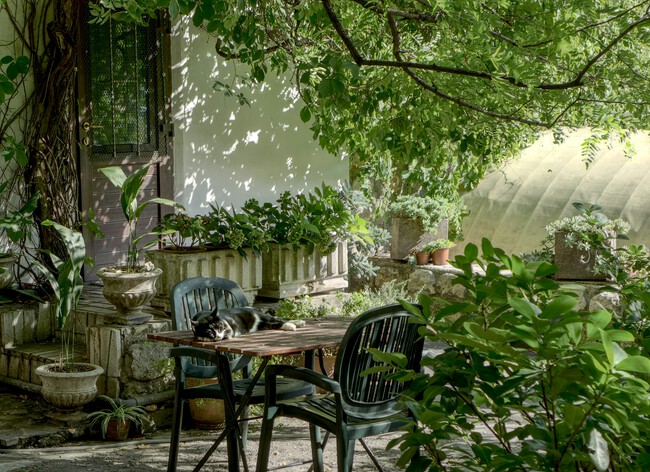 jardín