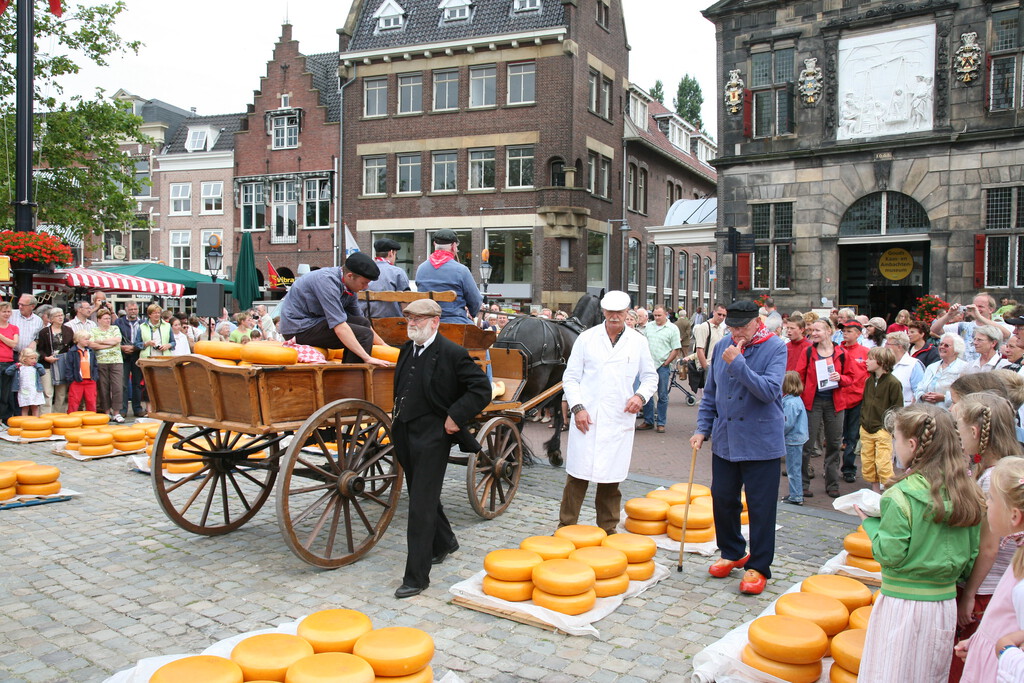 "No esperaría mucho queso de Gouda en 100 años": el futuro del queso más popular de Países Bajos se hunde (literalmente)