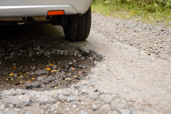 Bache
