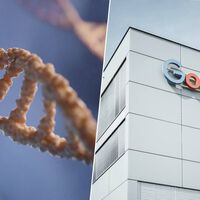 Mientras debatimos sobre los chatbots, la IA ya está trayéndonos el futuro en otra área: la lucha contra el cáncer