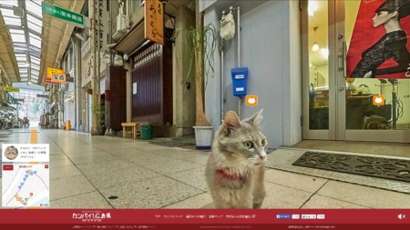 Nace en Japón un Street View para gatos: el turismo desde una perspectiva felina