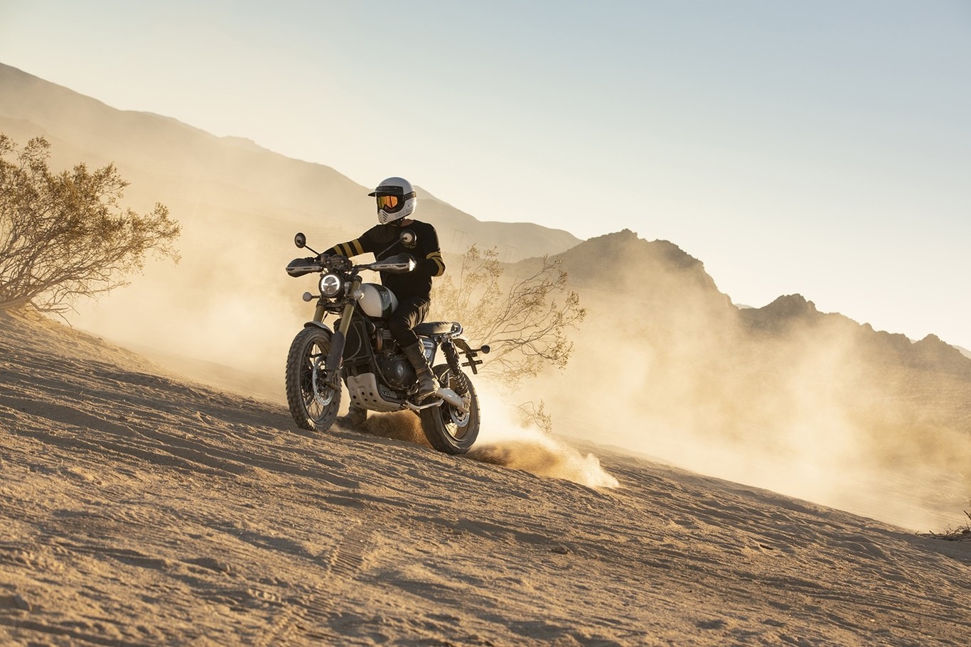 Estas siete motos llegarán en 2019 para demostrar que el rollo scrambler no era una moda pasajera