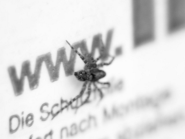 Araña web