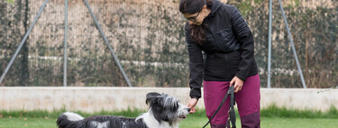 Si el nuevo test de sociabilidad para perros se parece a los que ya hay en España, no va a ser fácil superarlo 