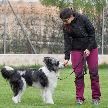 Si el nuevo test de sociabilidad para perros se parece a los que ya hay en España, no va a ser fácil superarlo 