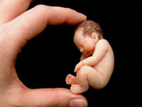 Más bebés en miniatura de Camille Allen