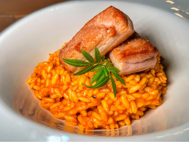 Arroz Sentio