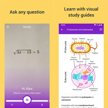 ソクラティック、Googleより