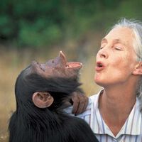 Netflix tiene un problemático nuevo programa que quiere darnos las últimas palabras de nuestras celebridades favoritas