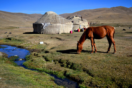 yurts, Song Kol
