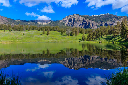 Yellowstone Diario del viajero