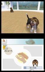 Nintendogs arrasa en Japón