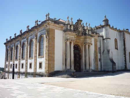 Las bibliotecas portuguesas están infestadas de murciélagos y eso es bueno para los libros