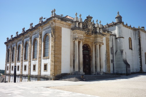 Las bibliotecas portuguesas están infestadas de murciélagos y eso es bueno para los libros