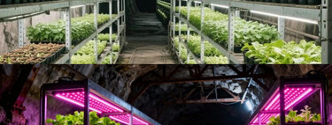 Da poluição ao cultivo verde: cientistas chineses propõem transformar minas de carvão abandonadas em fazendas subterrâneas gigantes 