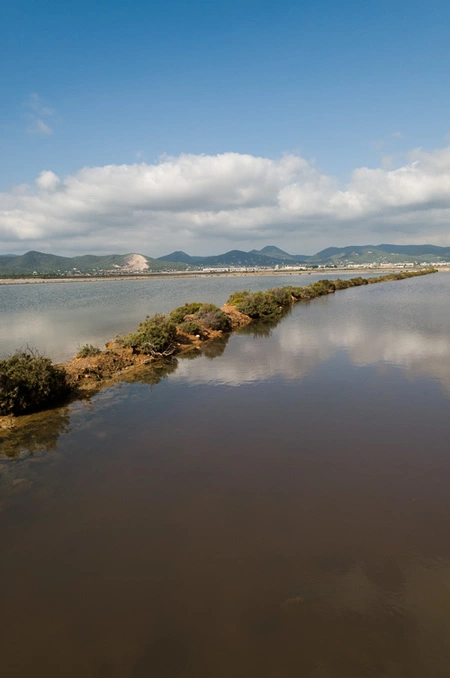 Ses Salines Ibiza