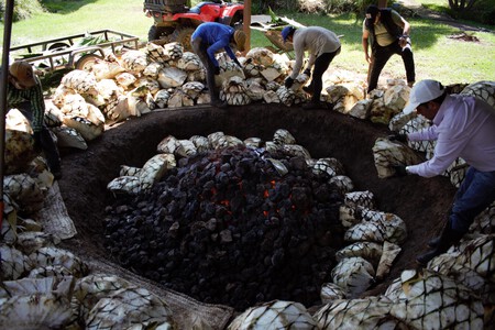 Por primera vez, Tierra Mezcal Fest, el encuentro con el agave y el mezcal mexicano, llegará a un destino del Edomex a solo 1 hora de CDMX